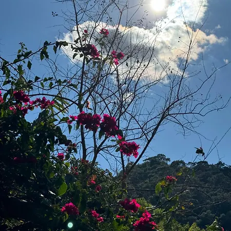 Yavuz 酒店 Çıralı