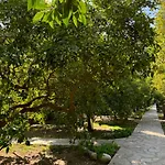 Yavuz * Çıralı