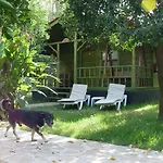 Yavuz ホテル Çıralı