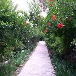 Yavuz * Çıralı