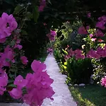 Yavuz Çıralı