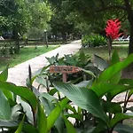 Yavuz *