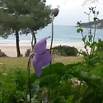 ホテル Yavuz Çıralı