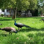 ホテル Yavuz Çıralı