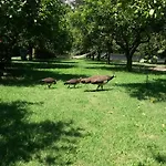 Yavuz ホテル *