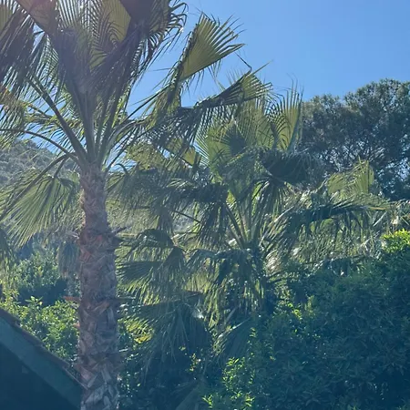 Hotel Yavuz Çıralı