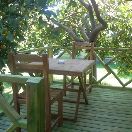 Hotel Yavuz Çıralı