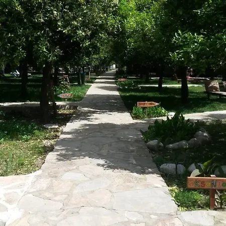 Yavuz * Çıralı