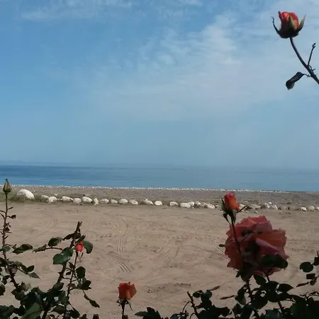 Yavuz