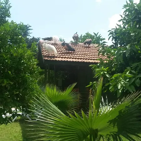 מלון Yavuz