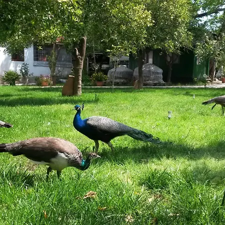 מלון Yavuz Çıralı