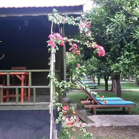 מלון Yavuz