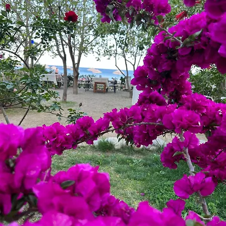Yavuz Hotel Çıralı