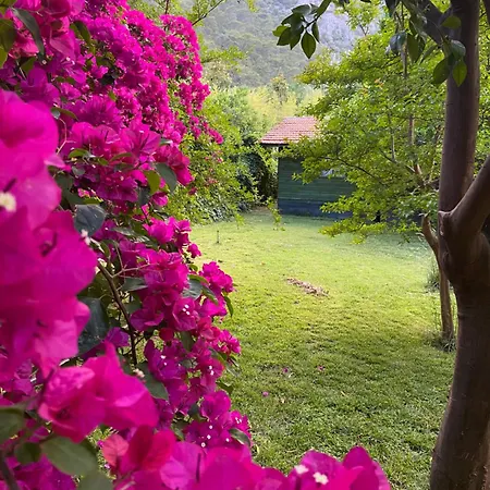 Yavuz Hotel Çıralı