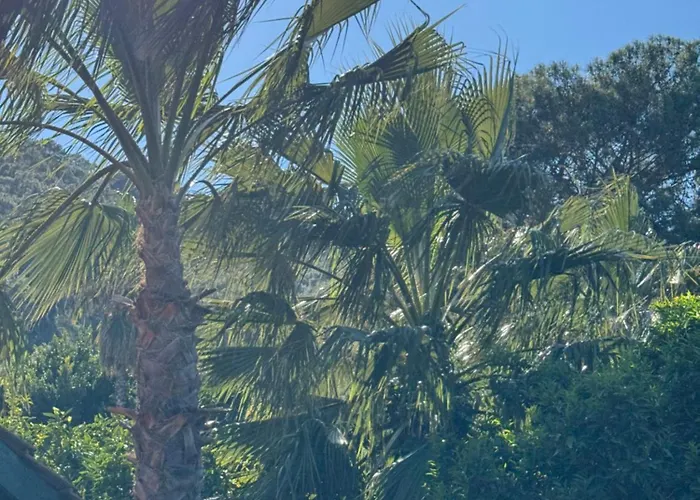 Hotel Yavuz Çıralı