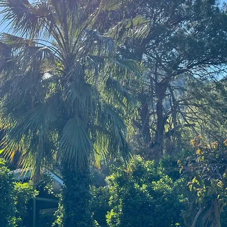 Hotel Yavuz Çıralı