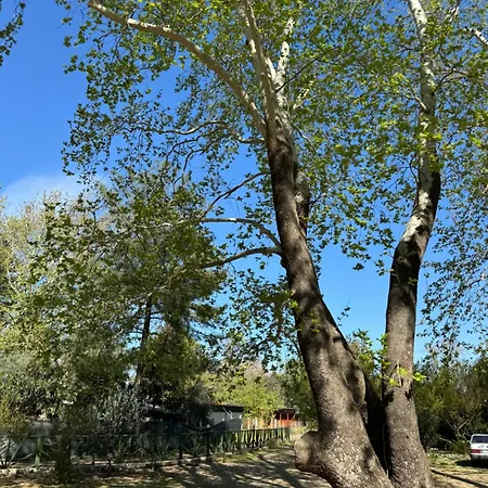 Yavuz Hotel Çıralı