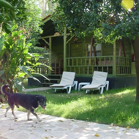 Yavuz Hotel Çıralı