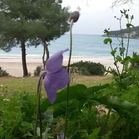 Hotel Yavuz Çıralı